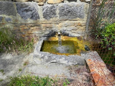 Fuente La Balsica. Imagen 1