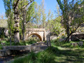 Fuente del Ocino. Imagen 8