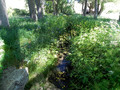 Merendero Fuente del espinillo Imagen 5