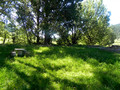 Merendero Fuente del espinillo Imagen 7
