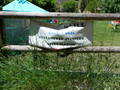 Minigranja. Arcosnatur Imagen 1
